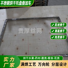 不锈钢烘干架车热风循环干燥烘箱烘盘瓜果蔬菜晾晒沥水盘烘干托盘