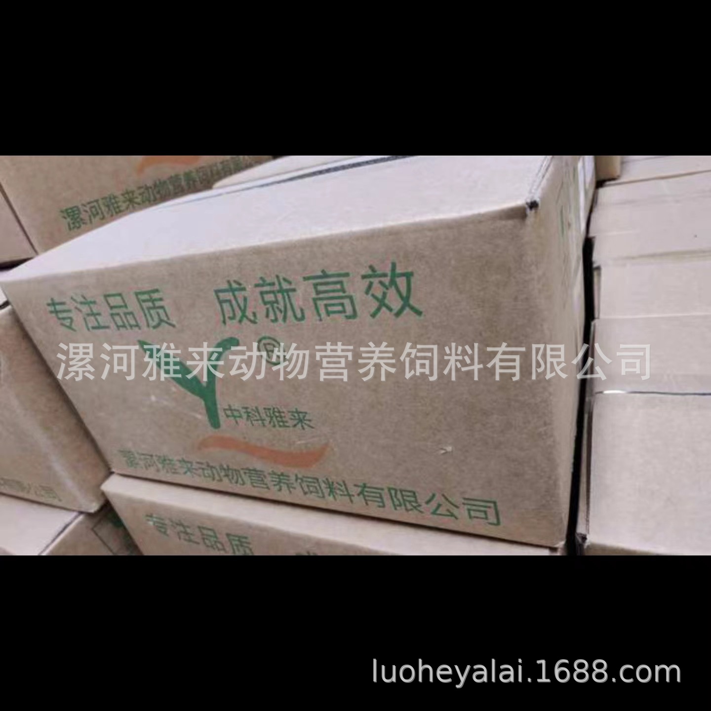 Weixin Image_20240926150603