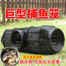 ���ò��~�����~�\�����r�\�\���¿����r�~�W��횾W�\�S�X���q�Ӵ�