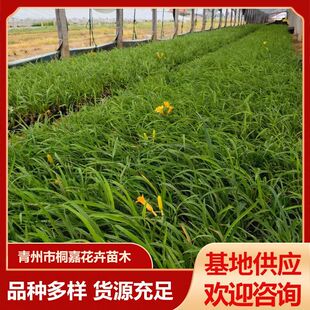 �t������^�p�����ݻ������lС�^�G�����^�p����� ���������