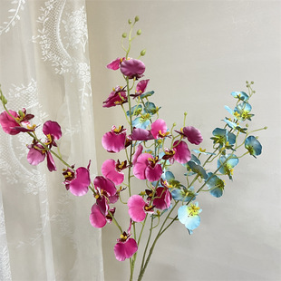 �ָ��zƬ32�^�����m 5���������m���滨�ߙn�ٻ��Ӽ��b������m