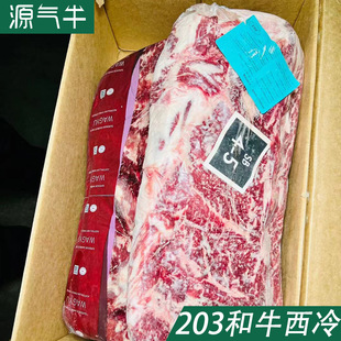 ����203��ţ����ţ��ԭ�����l���ţ��͏dɳ��ţ��m4-5��������