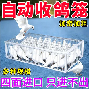 ����\���ӻ\�������ӻ�j�Tֻ�M����ײ�T���\�F�\���\�Ԅ��T����