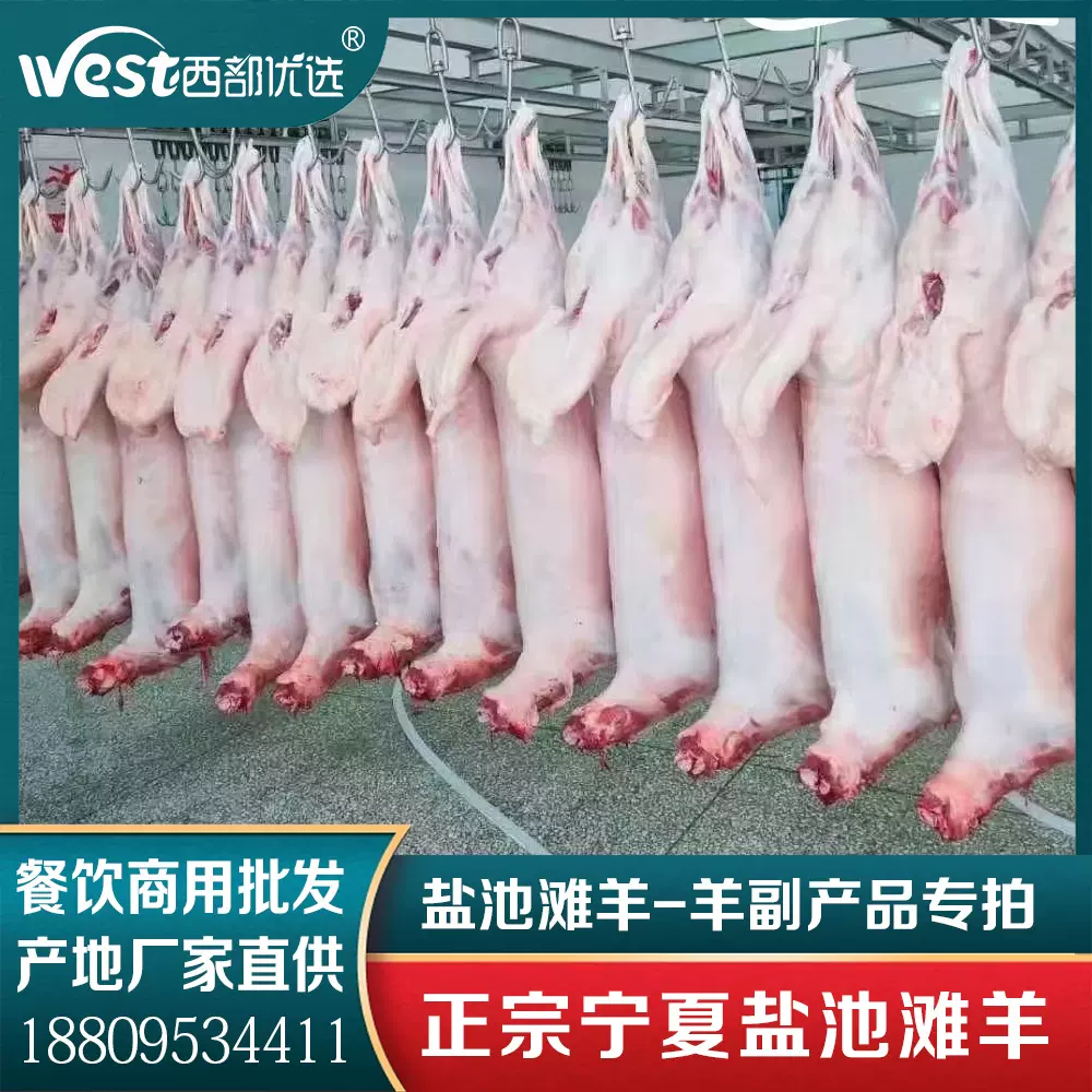 批发宁夏盐池滩羊羊副产品-羊尾油羊腰羊蛋羊杂羊蝎羊肉地标羊肉