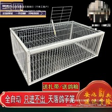 ����\����ֻ�M�������ӻ\����ץ���\����\����ȫ�Ԅ�����