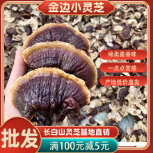 ߅`֥Ƭ250gLɽҰ֥`֥۲֥|خal