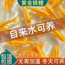 �S���\�����~��ؔ�~���~���B�ͻ���ˮ�~�~��С���~�^�p�~