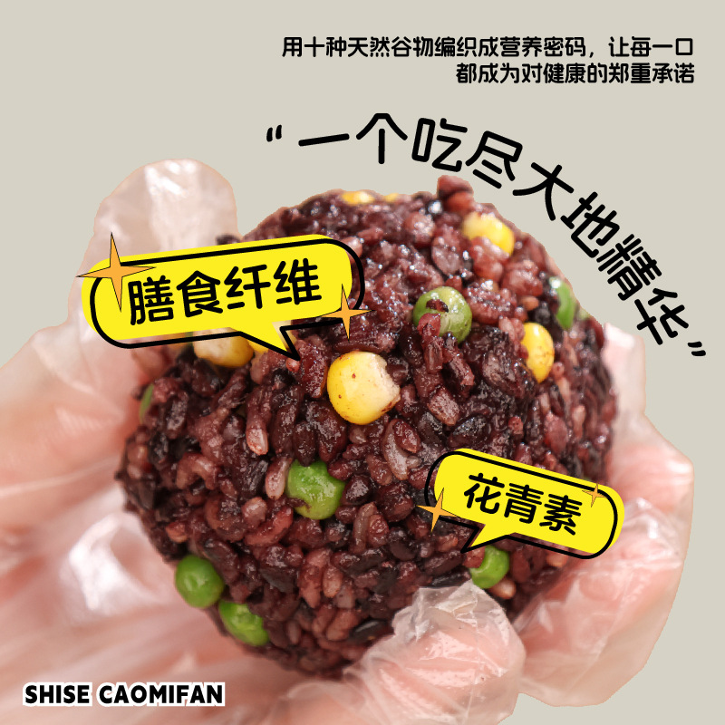 拾光兽十色糙米饭团96g粗粮餐健康早餐八宝饭食杂粮糯米紫米速食