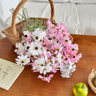 ��@��ɣ������ֲ�q��˹�ռҾӔ[����c�zӰ�b�ins�LС�r�շ���