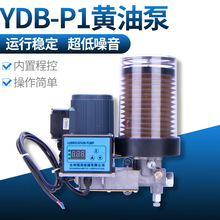 ͰCе֛_늄SͱYDB-P1֬700ml