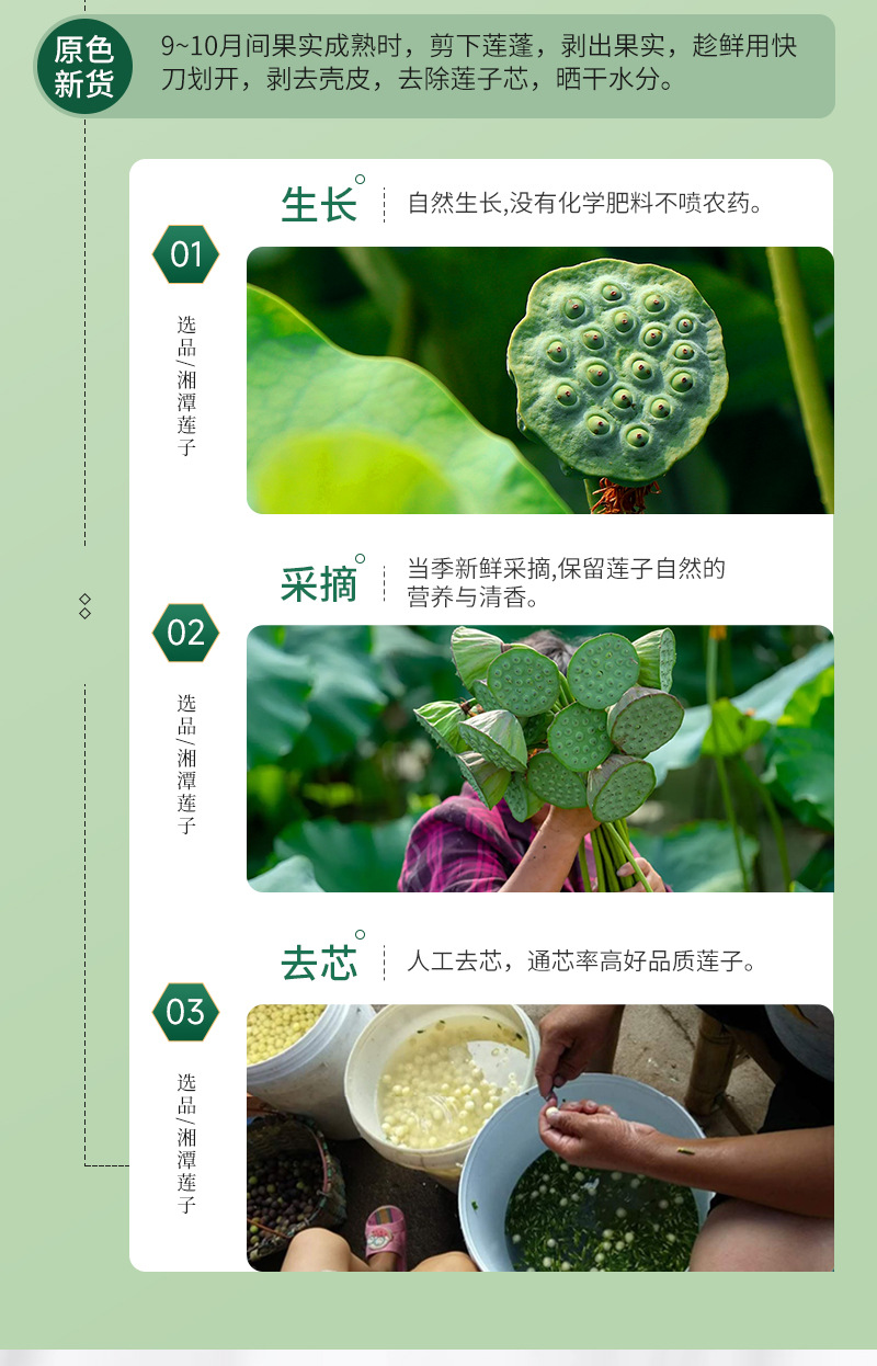 新货上市 湖南特产去芯白莲子批发干货无芯莲子500g磨皮湘莲即食