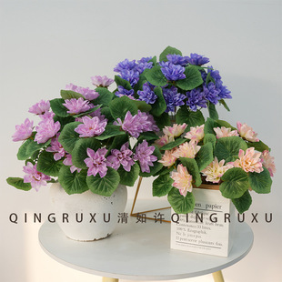 5�^С���� ��Ʒ��֧С�ɻ�����[������ǰ�ٻ�����ɏ��������滨