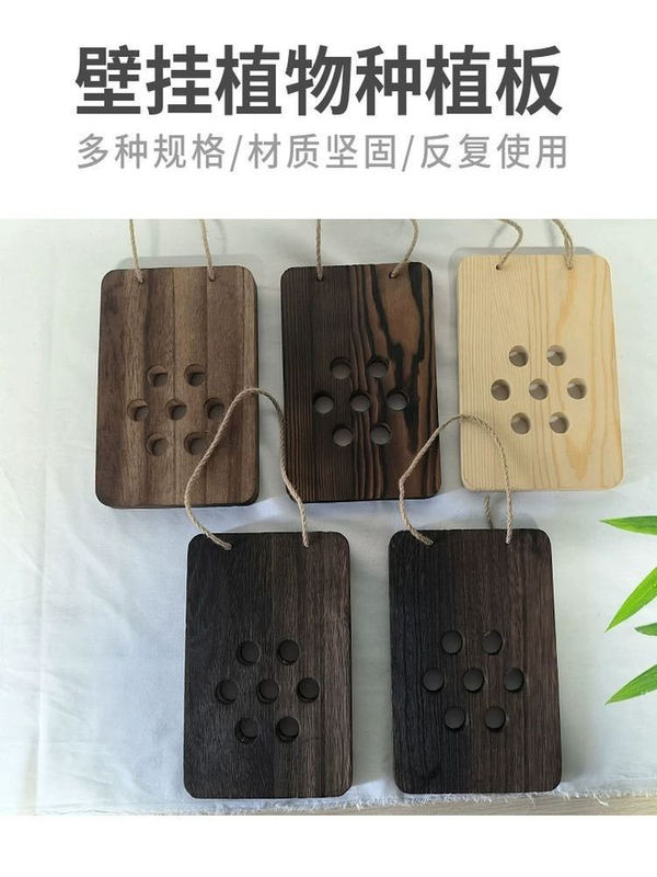Thickened Solid Wood Carbonized Antler Fern Hanging Board Dendrobium Backboard Solid Wood Carbonized Upper Board Plant Board Plant Wall Hanging