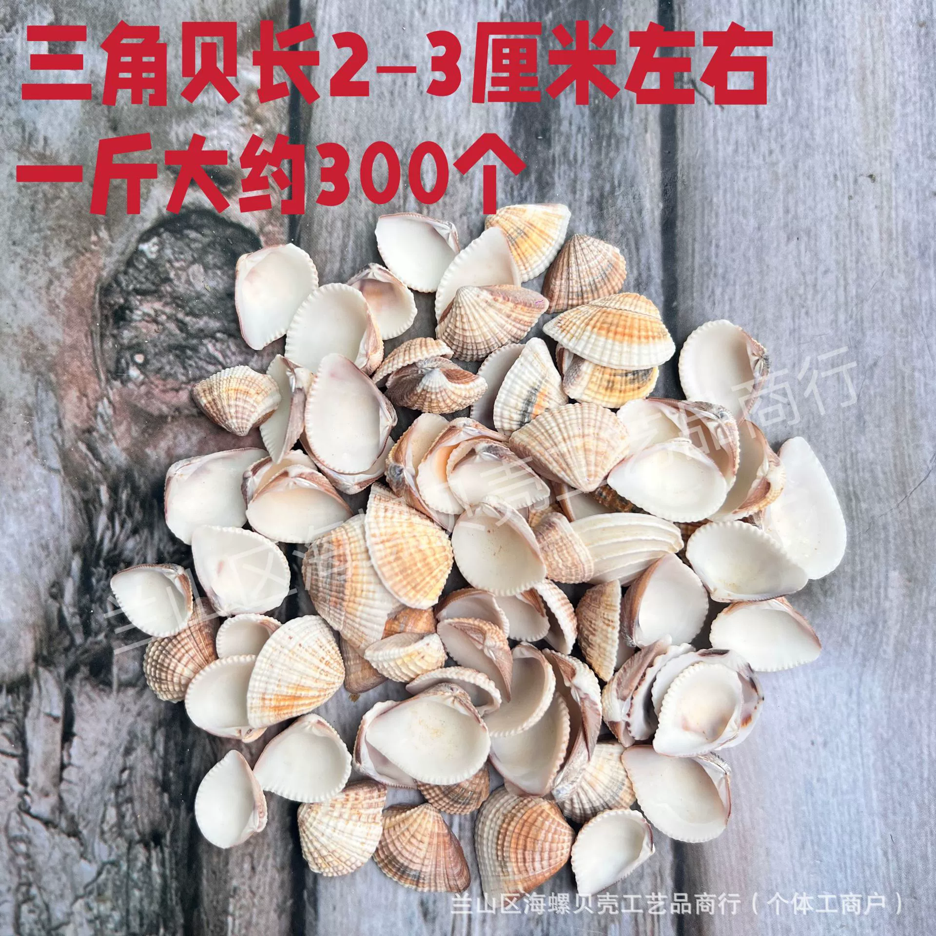 Shell Natural Shell Conch Stars Drifting Bottle Shell Crafts Wholesale Diy Handmade Shell Materials