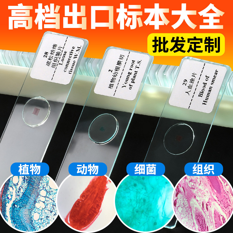 Biological Microscope Observation of Insect Cell Specimens, Animal and Plant Slides, Biological Sample Making Tools