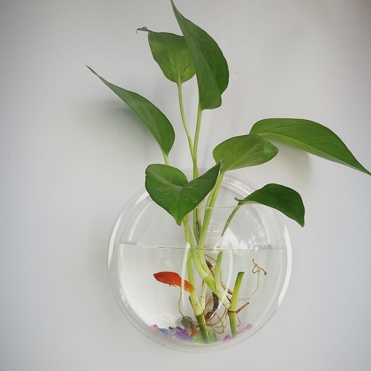 クリエイティブな花瓶、アクリルウォールステッカー、家の装飾、水槽、植木鉢、壁掛け、リビングルーム、レストラン|undefined