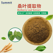 源头工厂现货销售桑叶提取物水溶性药食同源固体饮料桑叶粉