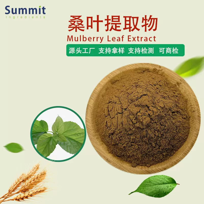 源头工厂现货销售桑叶提取物水溶性药食同源固体饮料桑叶粉