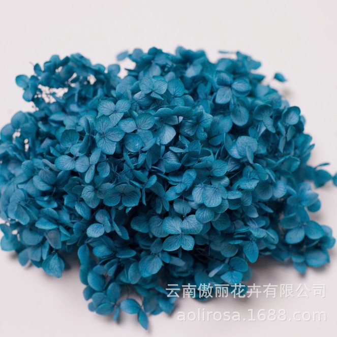 Flores Secas de Hortensia Preservadas A+, Fabricante de Flores Frescas Preservadas, Venta al por Mayor, Caja de 20g, Hortensia de Hoja Mediana Preservada