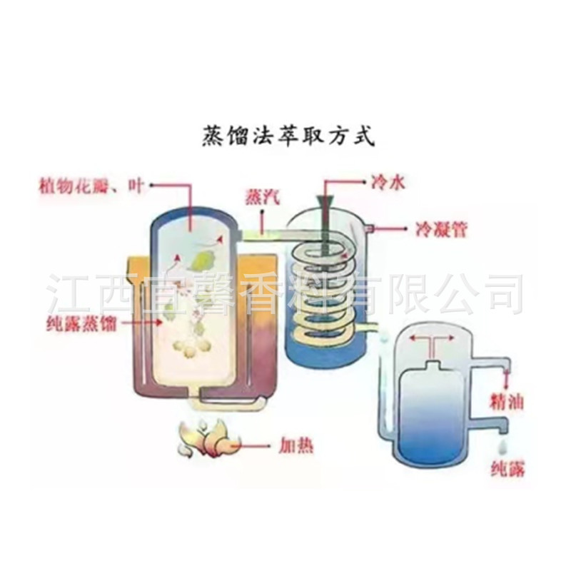 ユーカリ油 ユーカリの枝葉水蒸留抽出で得られるユーカリ精油 ユーカリ精油|undefined