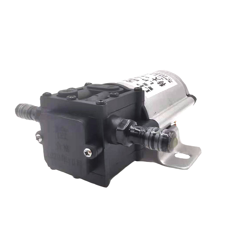 Bomba de gasolina bomba de bombeo eléctrica 12V24V220V bomba de autoaspiración bomba diesel de corriente continua bomba bomba bomba de trueno