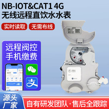 �S�ҹ���NB-IOT�o���y�عܵ�ֱ�ˮ����ˮ�����P䓿��֙C��ֵˮ��