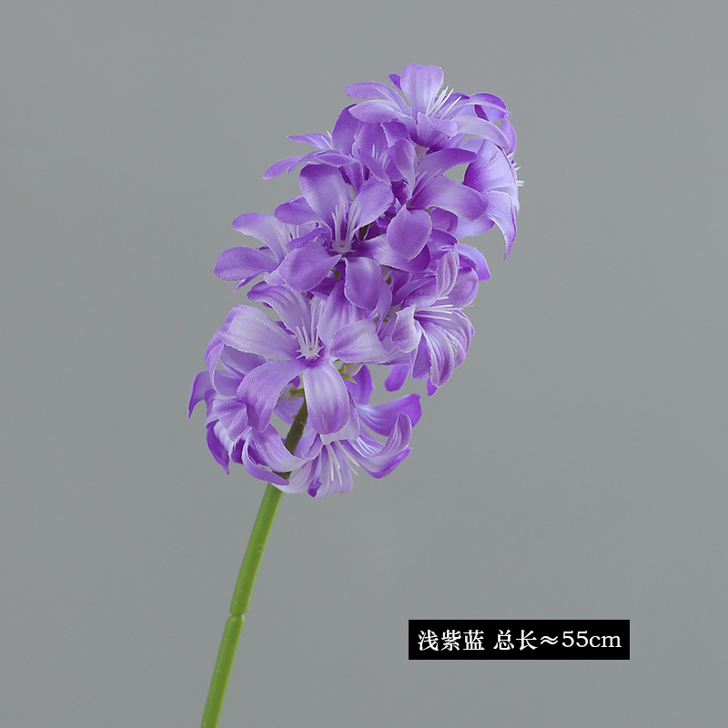 밝은 보라색