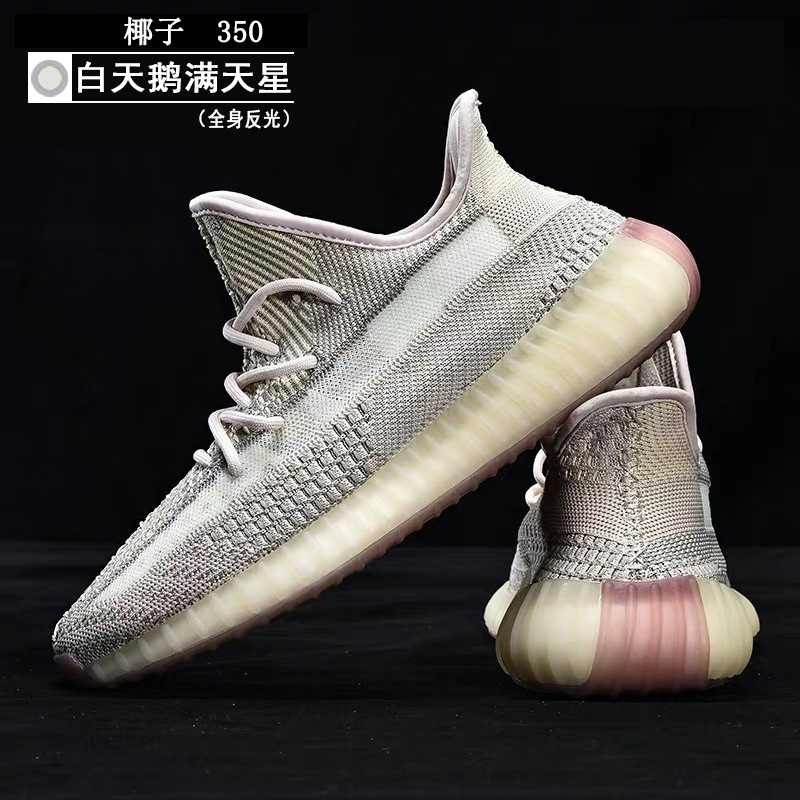 화이트 백조 석고 (3 바)