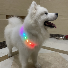 国境を越えた大型犬ペットの首輪、首輪、犬用リード、充電式安全首輪、カットと発光調整可能な犬用首輪