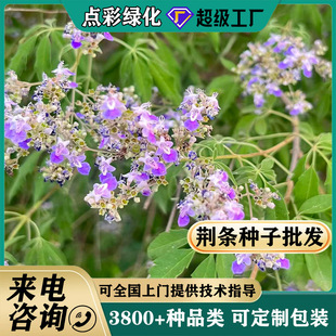 �G�l�N�����l�o�¹�����ɳ�N���ļ��ɲ��G���@�ֹ�·�G���G�l�ݷN