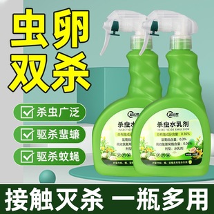 Insecticide, Cockroach Medicine, Ant Medicine, Flea, Scabickle, Small Flying Insect, Bed, Lice and Bedbug Medicine, Household Insecticide Spray