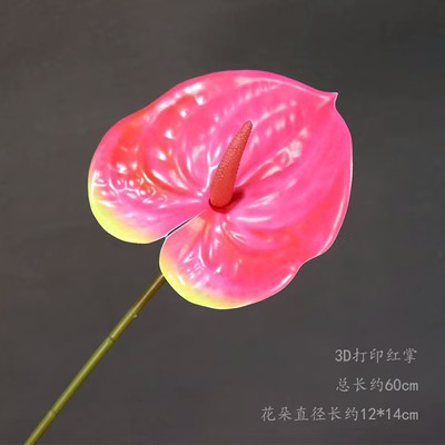 N ° 7 de impresión 3D de la palma roja