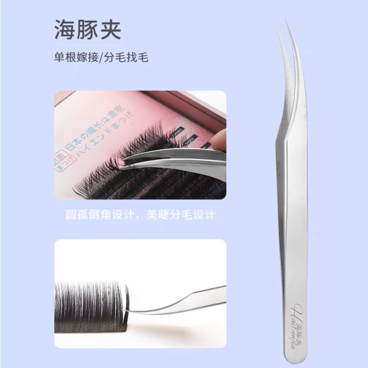 海豚