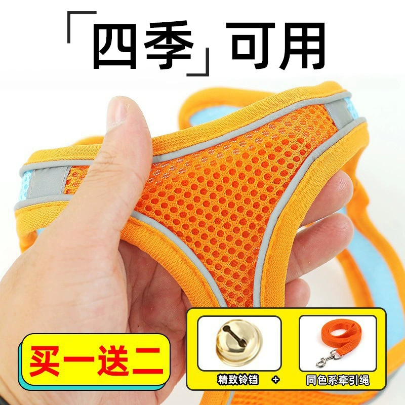 Светодиодный жилет-верёвка для кошек, позвоночник спинка, британская короткая гладкая кошачья цепь для предотвращения побега, принадлежности для кошек