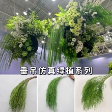 �����Gֲ�J�������Gֲ��ֲ��ɭϵ��Y�ò廨�����~��