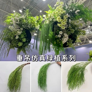 �����Gֲ�J�������Gֲ��ֲ��ɭϵ��Y�ò廨�����~��