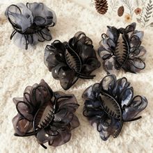 녶������ް��黨�����^ץ�A�l�2025�¿�߼��к��X���^�l�l�AŮ