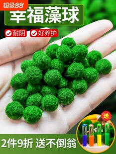 �R��Ī������΢���^���Bƿ�~���҃�����ˮ����������ֲ��ˮ������