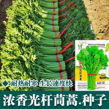 �����U����N��С�~����N�ݻʵ۲˶����ͺ������ļ��߲��＾��