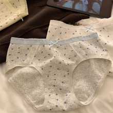 阳光明媚的今天【秘密花园】加长裆女士内裤女纯棉10A抑菌三角裤