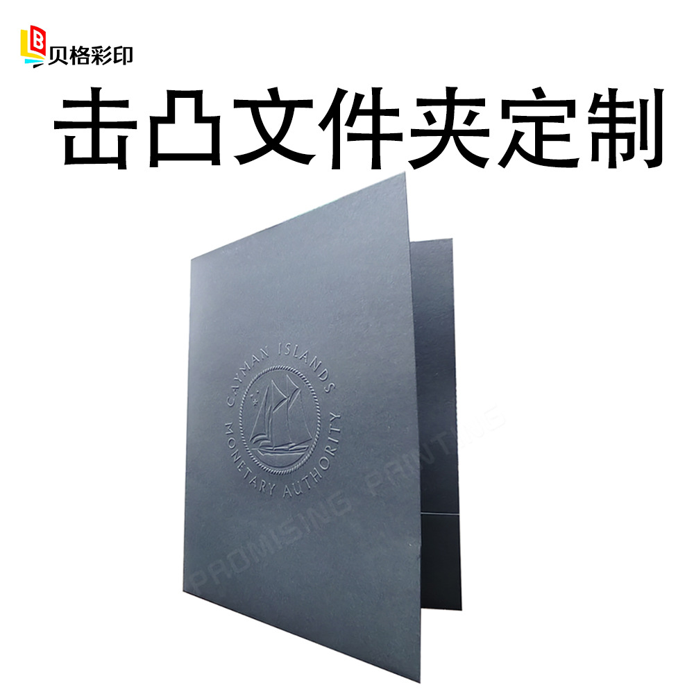 A4 파일 폴더, 인쇄된 표지, 엠보싱 처리된 구강 미용 진료 기록용 싱글 페이지 폴더, 루스리프 폴더, 종이 파일 폴더