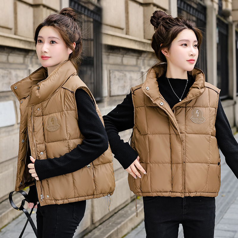 Demi-season vest with down