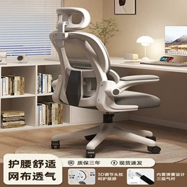 电脑桌;书柜;鞋柜