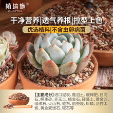 ���������àI�B���w�����M�ڼ�����ȻÓ�}С���~����ʯ�Ϙ�ֲ��ʩ