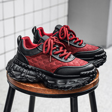 2025�p���ﶬ��Ь�͎ͺ��܇݆���ϵ��\��Ь�n��Ҭ�ӌW�������eЬ