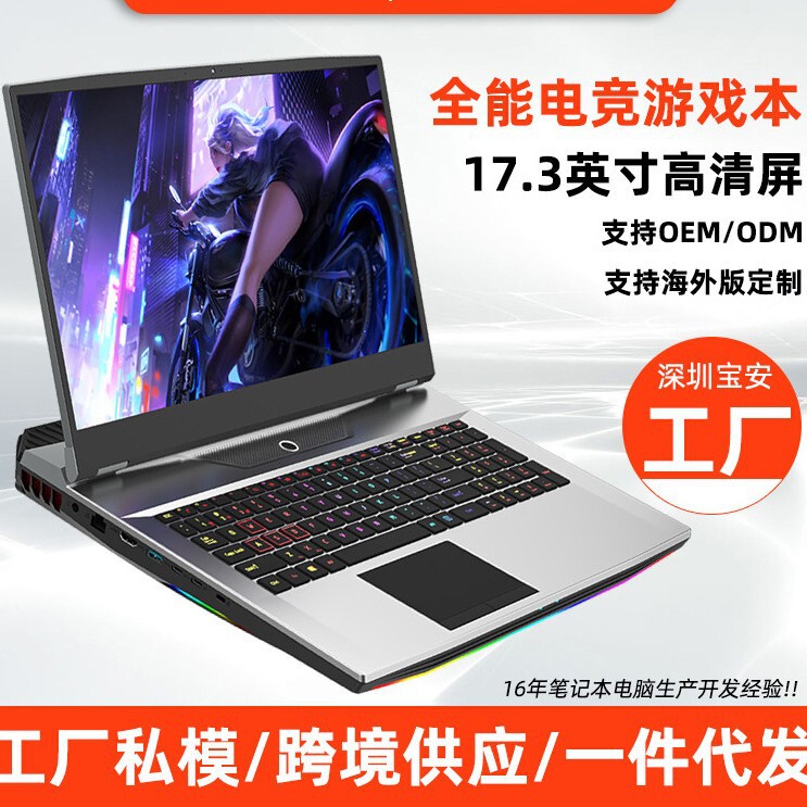 Cross-border English version 17.3 inch i9 10 generation processor 4G exclusive video game notebook wholesale