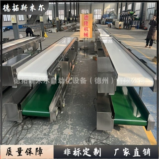 定制自动化PLC控制传送带双层皮带输送机电子件车间带灯架流水线