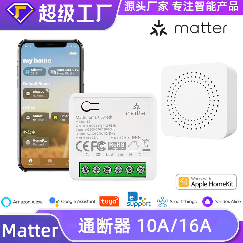 Matteroverwifi Switch Homekit Alexa Voice Google Remote Control 10A Home