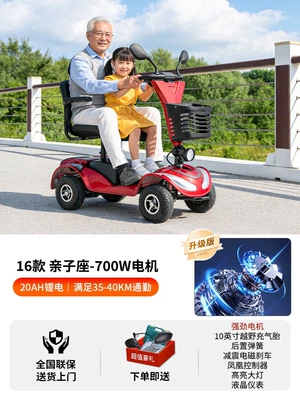 four-wheel electric vehicle for disabled – Qatlanan elektrik velosipedlər - 24v-3016-models-family-seat20a-lithium-battery-700w-motor-suitable-for-35-40km-commuting