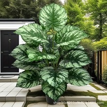 ���R�d�羳���W�L������Է���Gֲ�軨�T���G�q�~�٘��T�ꙻ�b�